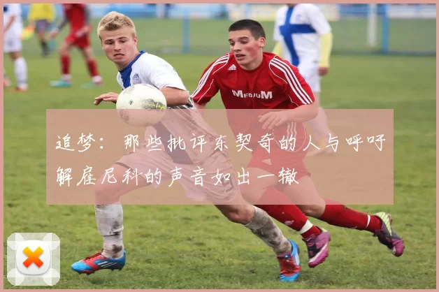 追梦：那些批评东契奇的人与呼吁解雇尼科的声音如出一辙