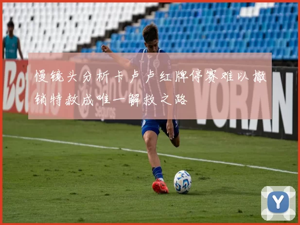 慢镜头分析卡卢卢红牌停赛难以撤销特赦成唯一解救之路