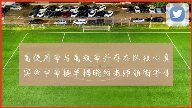 高使用率与高效率并存各队核心真实命中率榜单揭晓约老师领衔字母紧随其后