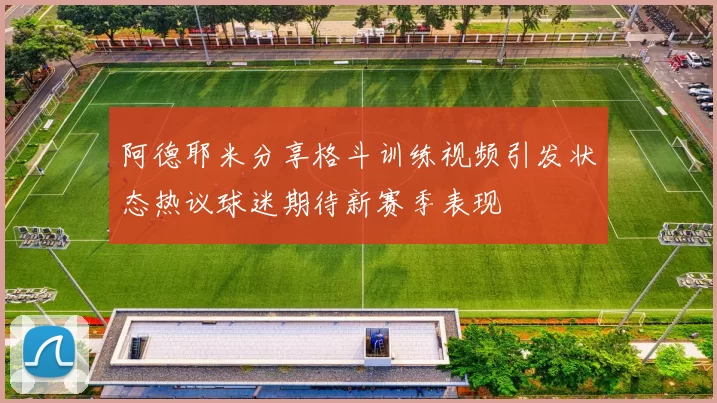 阿德耶米分享格斗训练视频引发状态热议球迷期待新赛季表现